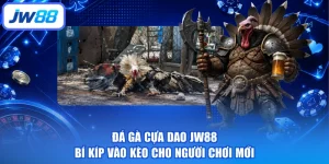 Đá Gà Cựa Dao JW88 Bí Kíp Vào Kèo Cho Người Chơi Mới