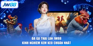 Đá Gà Thái Lan JW88 Kinh Nghiệm Xem Kèo Chuẩn Nhất