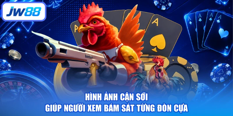 Hình ảnh cận sới giúp người xem bám sát từng đòn cựa