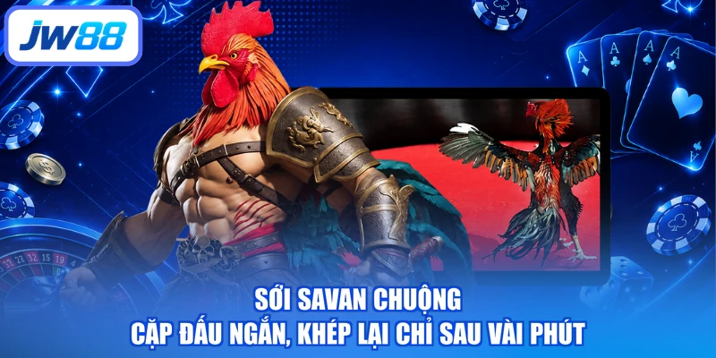 Sới Savan chuộng cặp đấu ngắn, khép lại chỉ sau vài phút