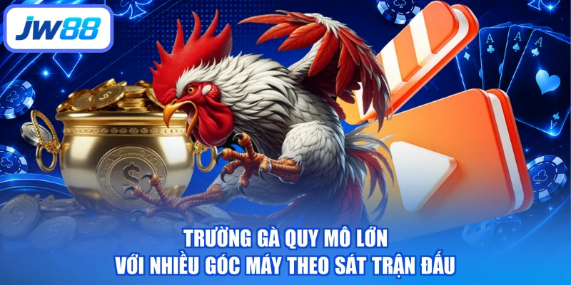 Trường gà quy mô lớn với nhiều góc máy theo sát trận đấu